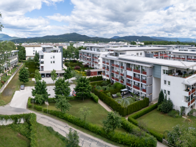 WBG-Fortschritt Drohnenaufnahmen 2025-05-16